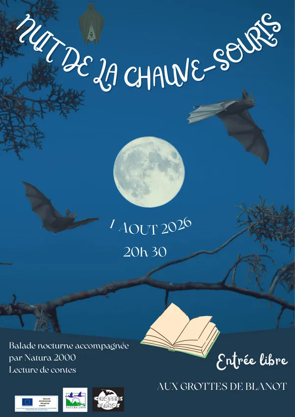 Nuit de la chauve-souris