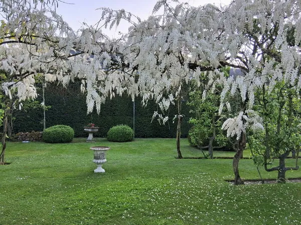 Visite libre du Jardin de Sarton