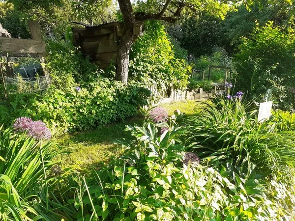 Rendez vous au Jardin des Grandes oreilles
