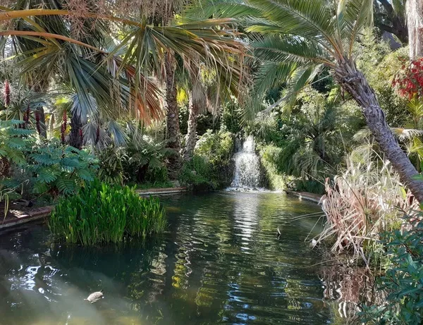 Visite du parc Olbius Riquier