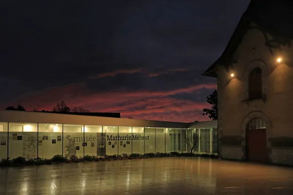 Découverte nocturne des collections