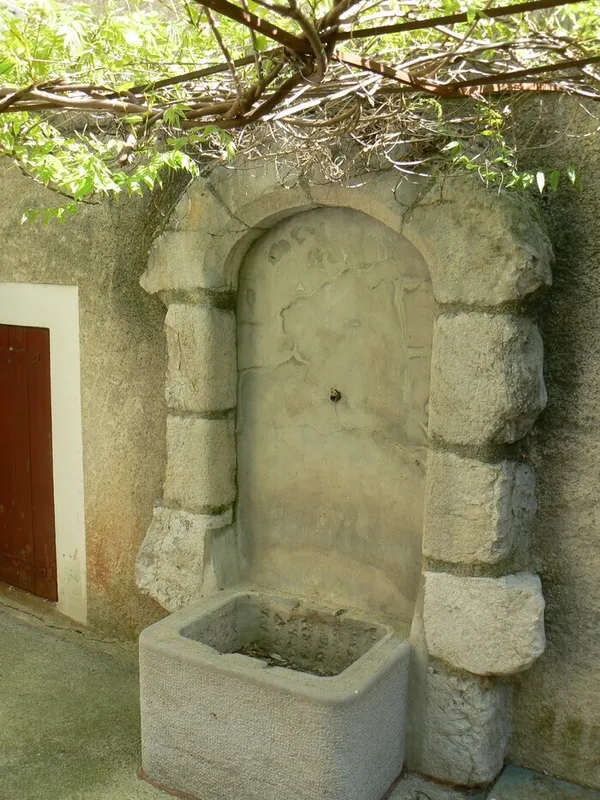 Visite commentée de jardins en jardins dans le centre ancien
