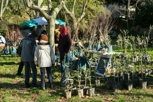 Journée des pépiniéristes