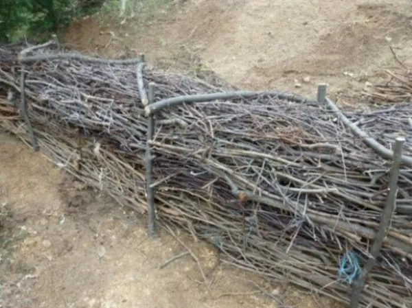 Jardinons ! Déchets verts, ne les jetez plus !