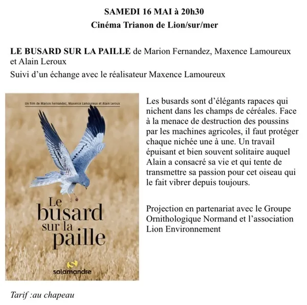 Projection-échange sur le busard