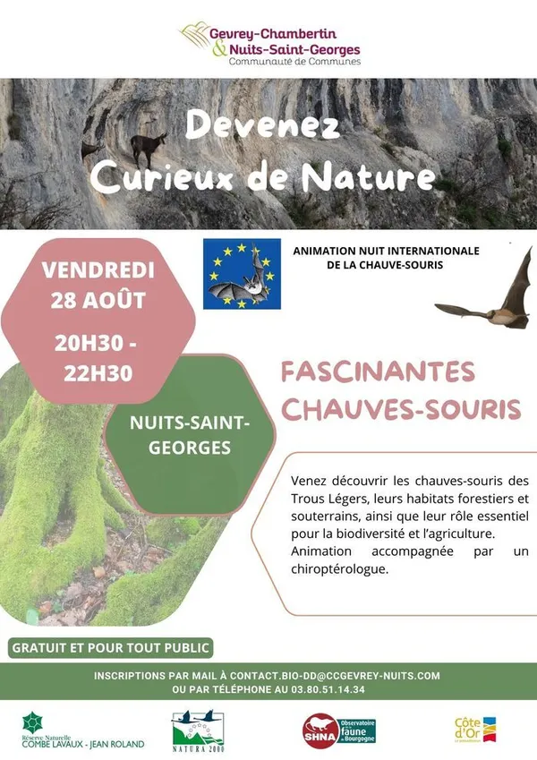 Fascinantes Chauves-souris