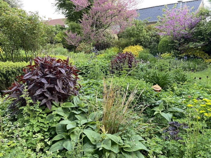 Visite du Jardin de Mildrède