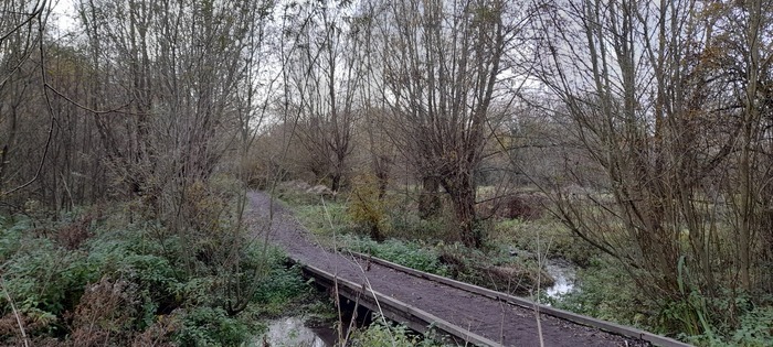 Balade naturaliste : l’eau, source de vie et d’inspiration