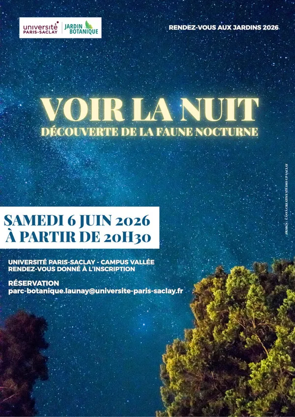 Voir la nuit : découverte de la faune nocturne