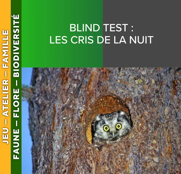 ALPES AZUR MERCANTOUR - Blind Test : Les cris de la nuit