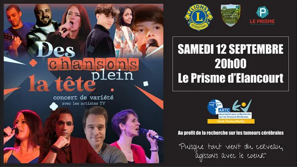 DES CHANSONS PLEIN LA TETE