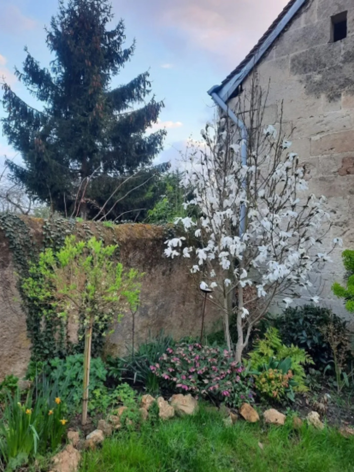 Visite découverte