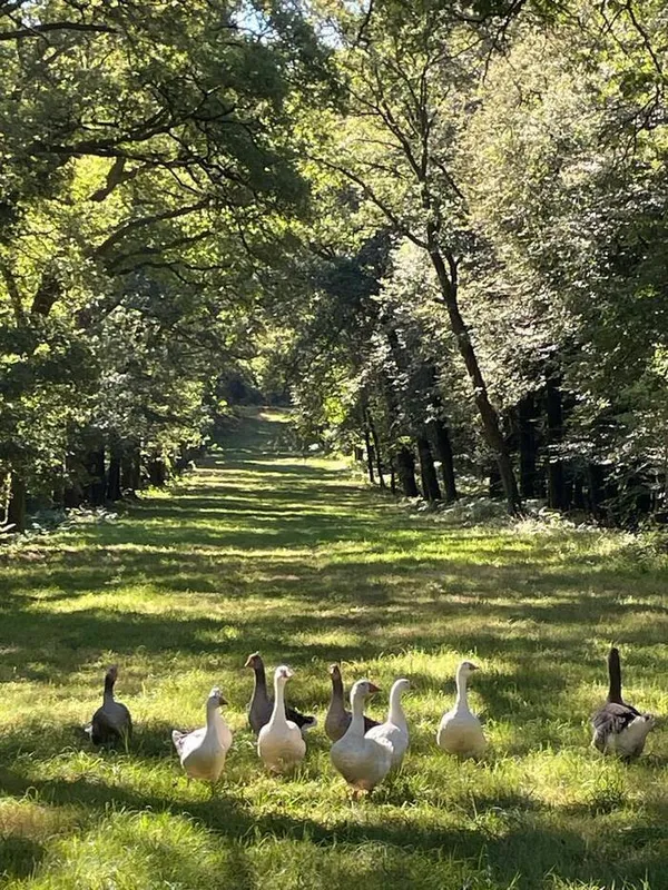 Rendez-vous à Penvern