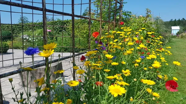 Troc de plantes au Château d'Hardelot