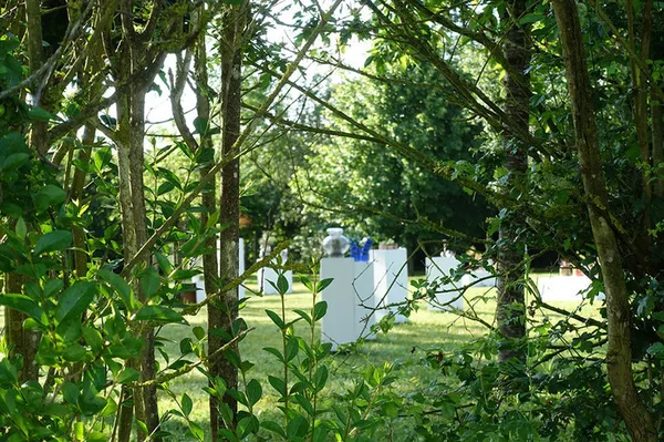 Visite guidée de l'exposition "Les jardins suspendus"