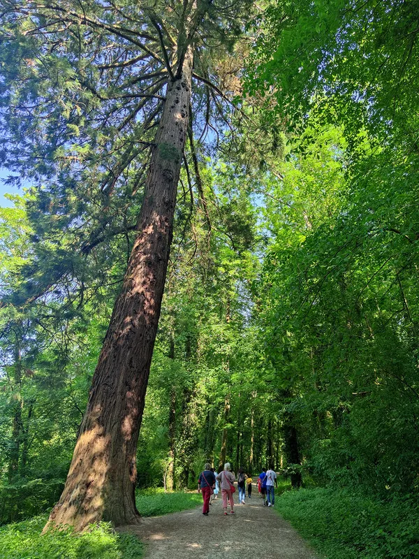 Allons voir le parc de Noisiel !