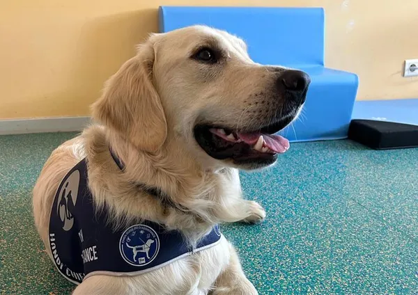 [RENCONTRE] Atelier Découverte : Médiation Canine avec Utah