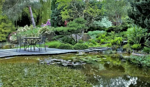 Visite du jardin aquatique Acorus