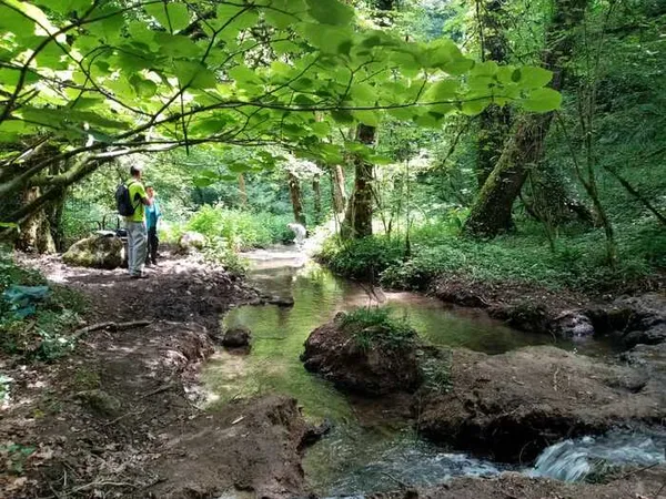 Atelier en nature "A la recherche du blob"