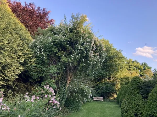 Visite guidée : le Jardin botanique "Le Clos de Chanchore" et la vue !