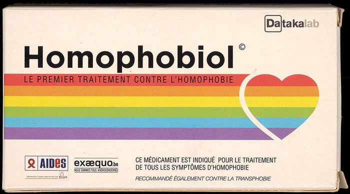 Patrimoine LGBTQI+ au musée : regards croisés