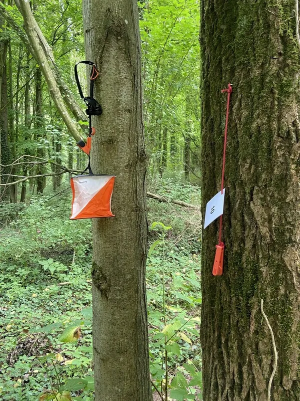 Parcours "vue" dans le parc