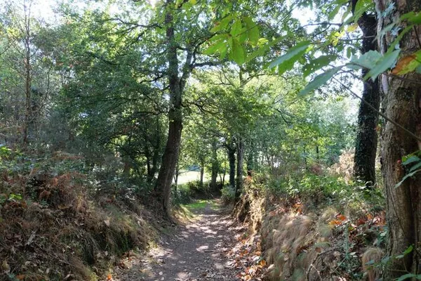 Balade contée dans la vallée de l'Aure
