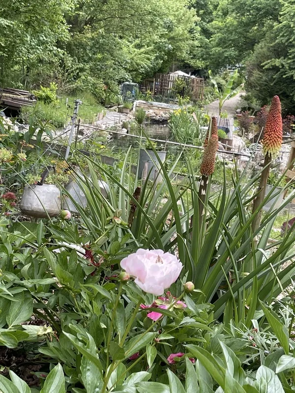 Visite d’un jardin à l’anglaise entre nature et objet ancien