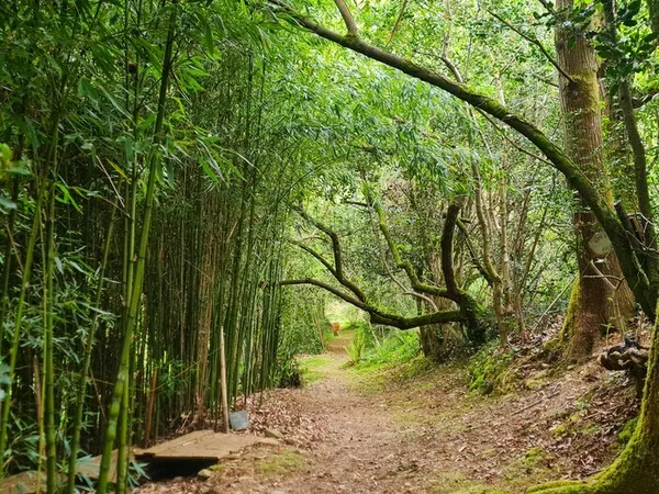 Visite découverte du jardin botanique