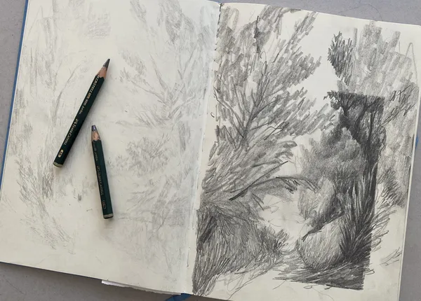 Atelier dessin avec Cédric Torne