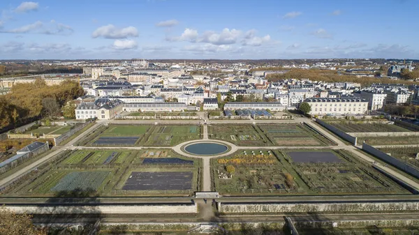 Atelier « Le Potager au microscope »