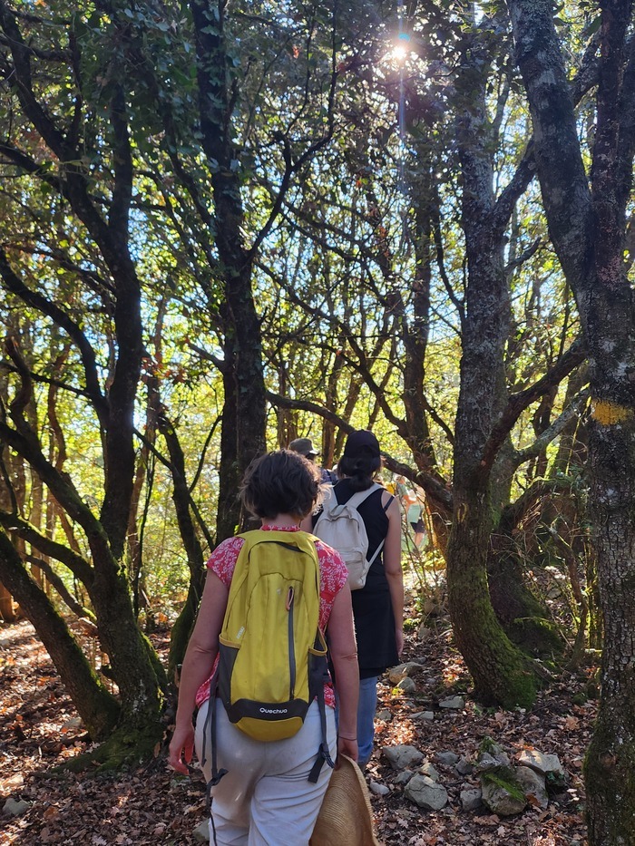 Découverte de la forêt sur le sentier du Campérié