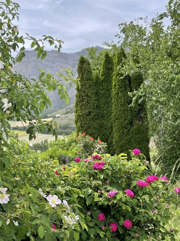 Visite découverte du jardin botanique