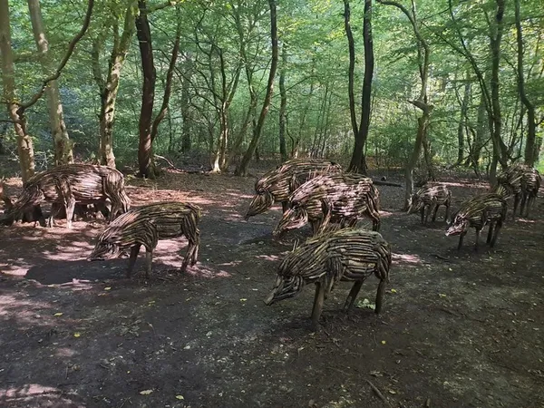 ANIMATIONS - SERVICE FORÊTS