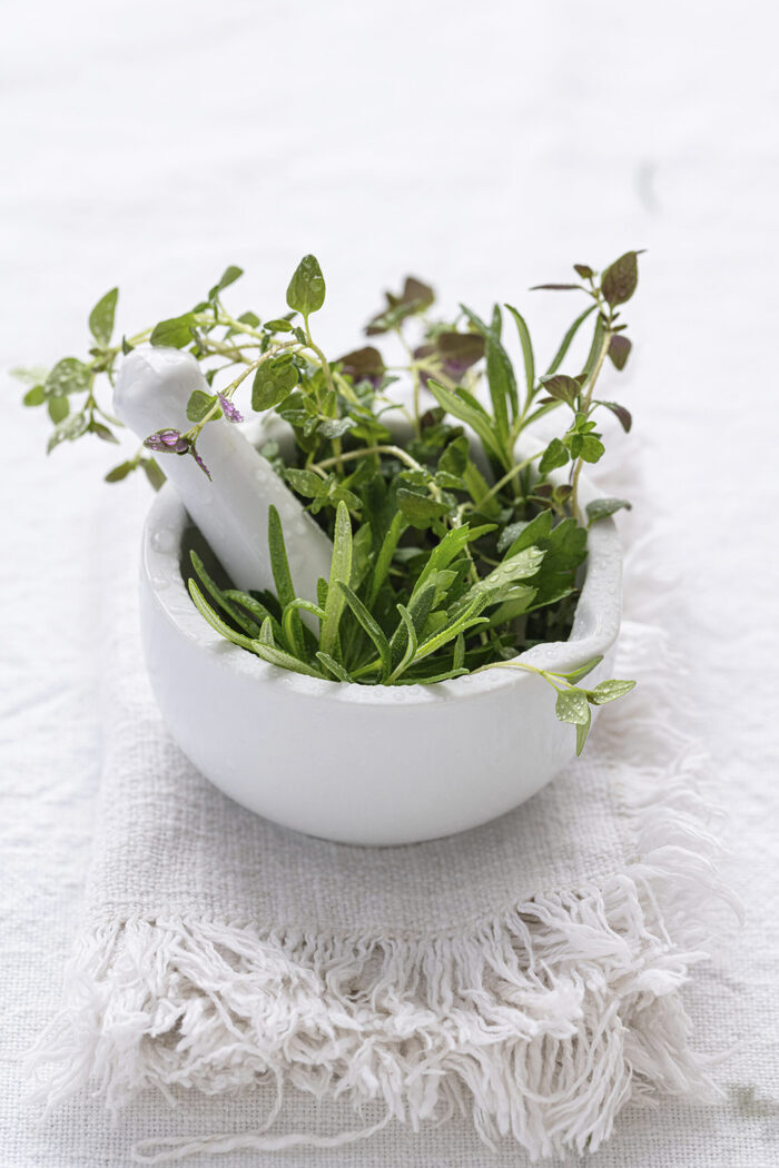 Conférence-dégustation sur les plantes médicinales