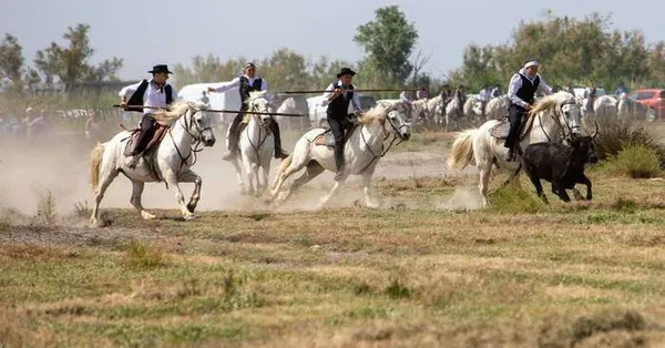 Course de Satin : ANNULEE