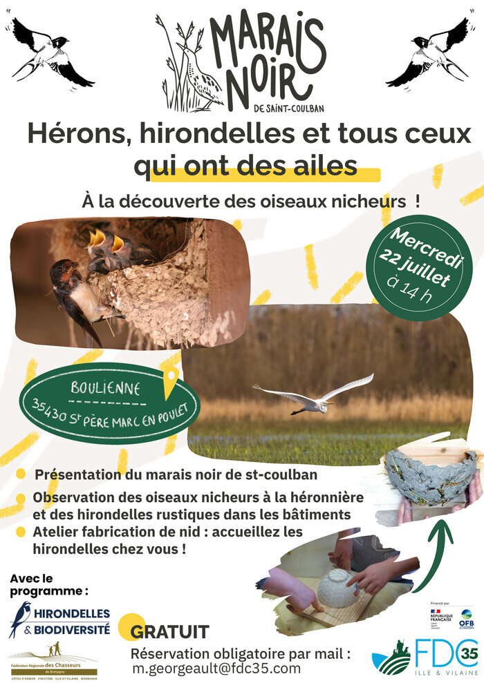 Hérons, hirondelles et tous ceux qui ont des ailes !