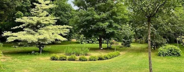 Gros plan sur plus de 1000 variétés d'arbres et arbustes