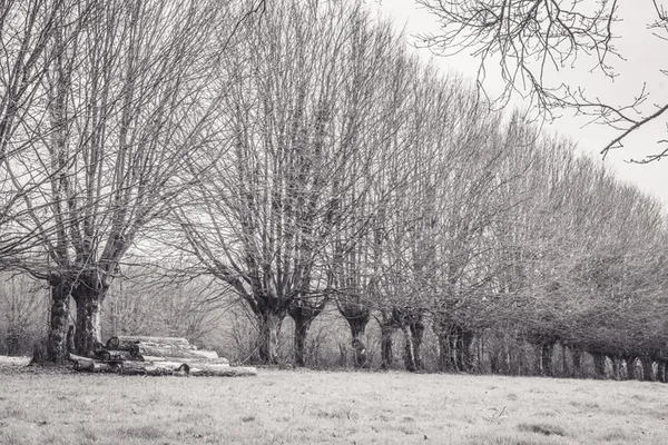 Montormel entre Histoire et nature