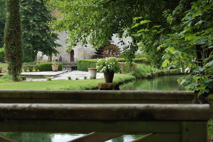Déambulation dans un jardin d'eau