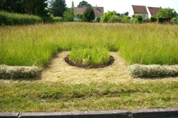 Initiation au Land Art : la vue