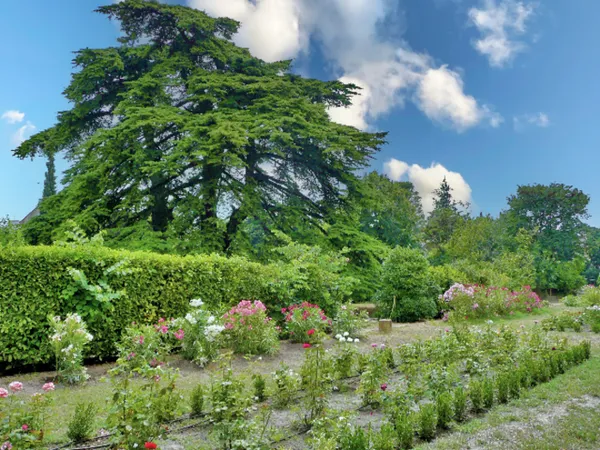 Le Jardin du Carmel, au-delà du regard