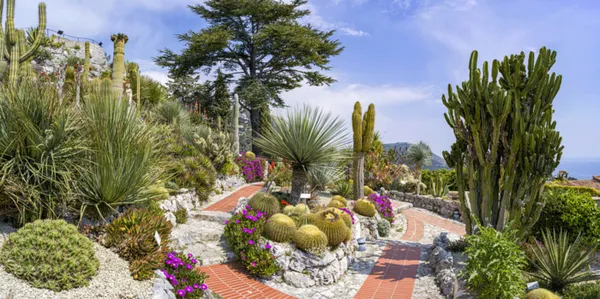 Visite du jardin exotique d'Eze