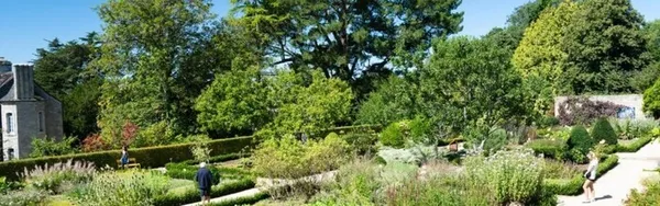 Les plantes les yeux fermés
