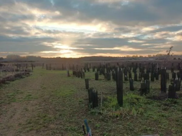 Regard d'un paysagiste sur les espaces champêtres