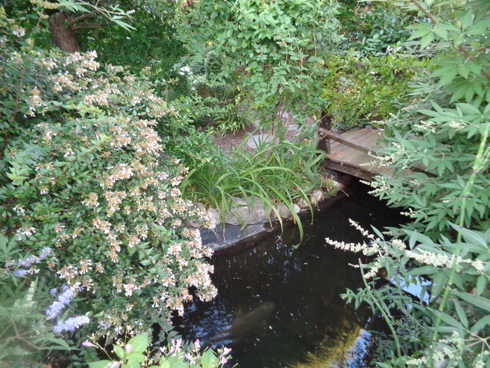 Visite du jardin botanique Le Clos fleuri