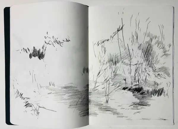 Stage : Le dessin comme espace d’exploration (séance 2/4)