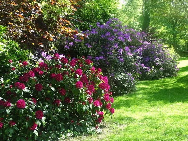 Visite libre du jardin