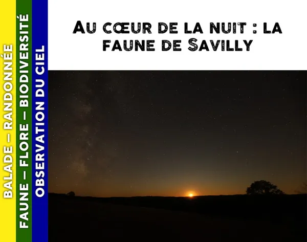MORVAN - Au coeur de la nuit : la faune de Savilly