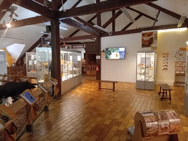 Visite du Musée Patrimonial du Pays de Thônes